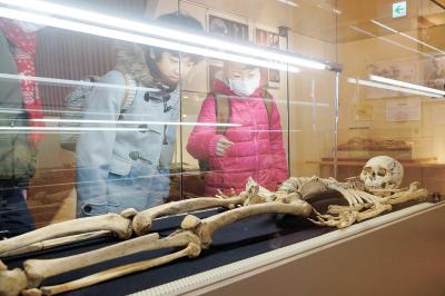 縄文村歴史資料館　25周年企画展開幕 骨からわかる太古の暮らし